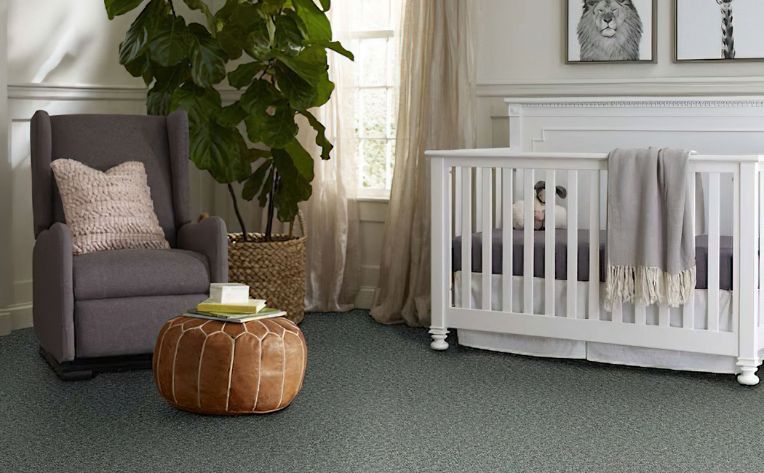 Rival By Resista's Beautiful Water Resistant Carpet