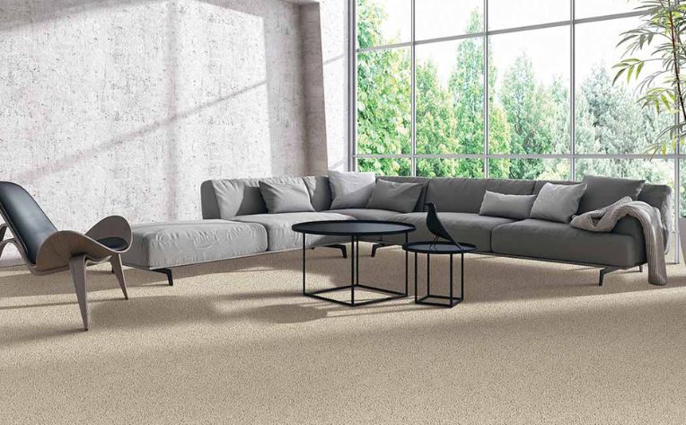 Best Durable Carpet For Living Room