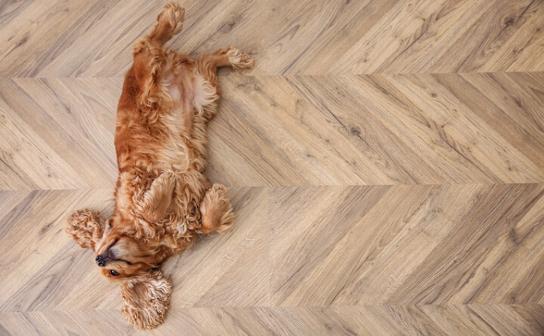 How to Choose the Best Flooring for Dogs - The Home Depot
